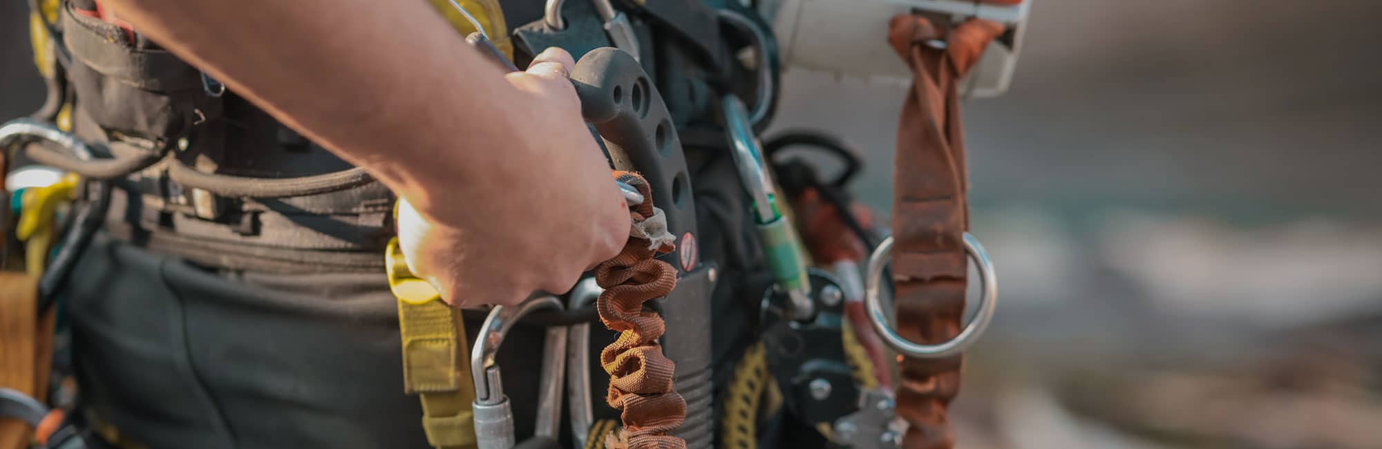 Tools used by tree surgeon
