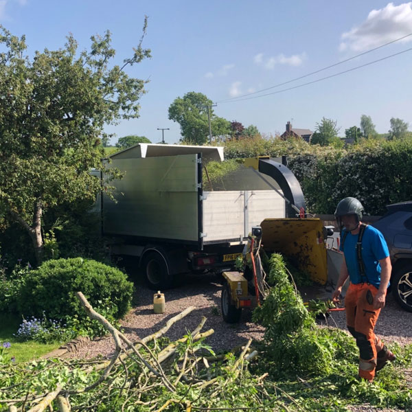 Using woodchipper